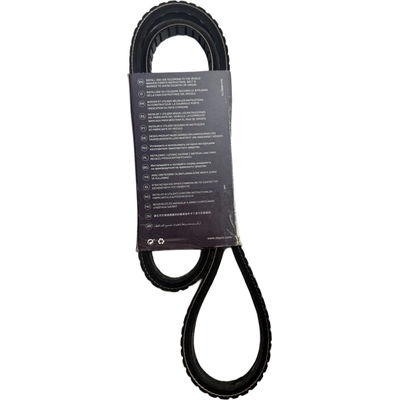 Air Pump Belt by DAYCO - 17475 pa22