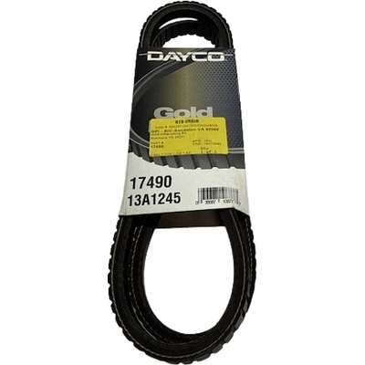 Air Pump Belt by DAYCO - 17490 pa13