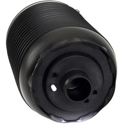 ARNOTT - A3891 - Air Spring pa1