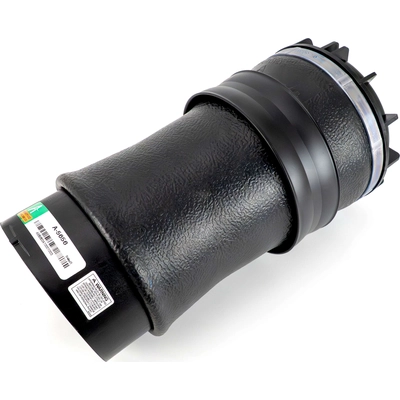 Air Spring by ARNOTT - A5656 pa1