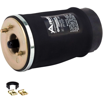 Air Spring by ARNOTT - A2504 pa8