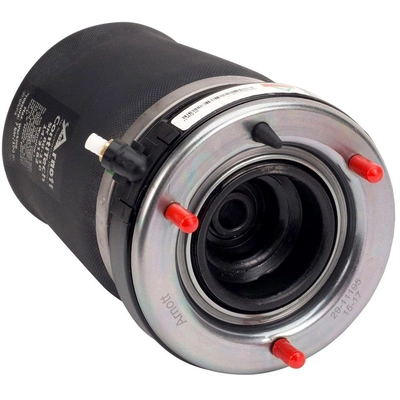 Air Spring by ARNOTT - A2862 pa6