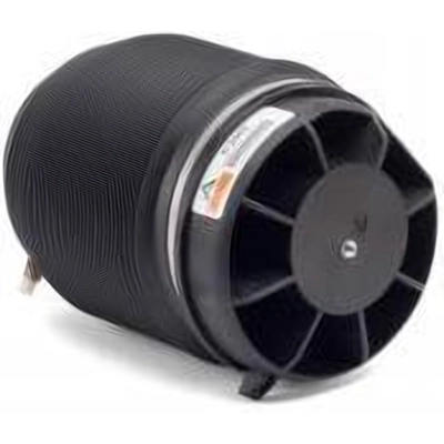 Air Spring by ARNOTT - A2960 pa3