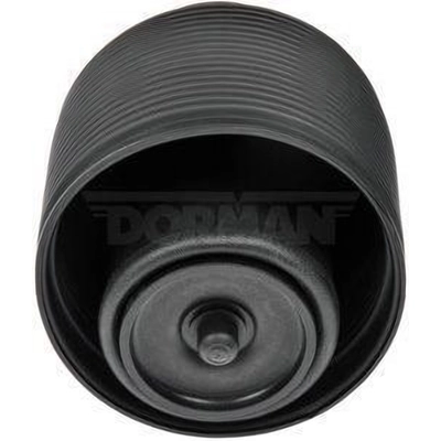 Ressort pneumatique by DORMAN (OE SOLUTIONS) - 949-450 pa6