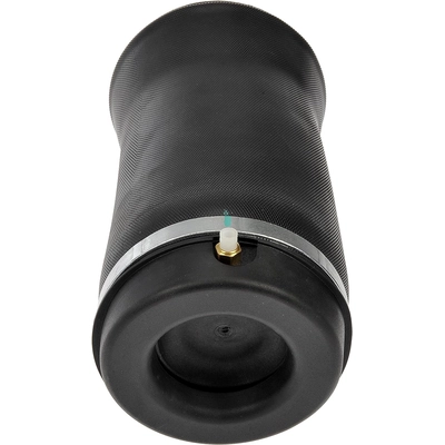 DORMAN (OE SOLUTIONS) - 949-750 - Air Suspension Air Spring pa2