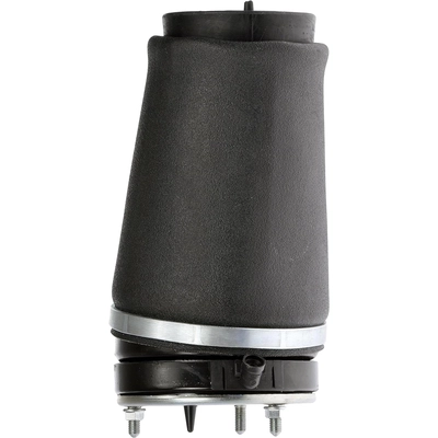 DORMAN (OE SOLUTIONS) - 949-999 - Air Suspension Air Spring pa2