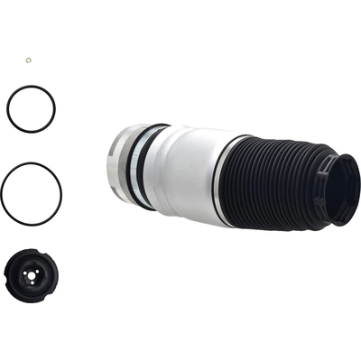 FCS AUTOMOTIVE - Q9013 - Air Suspension Spring pa4