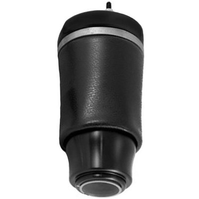 Air Spring by UNITY AUTOMOTIVE - 15512402 pa1