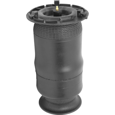 UNITY AUTOMOTIVE - 15514800 - New Rear Standard Air Spring Bag pa2