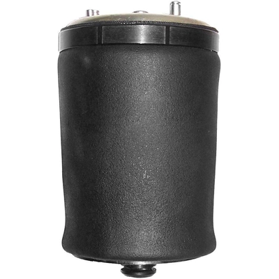 Air Spring by UNITY AUTOMOTIVE - 15525001 pa1