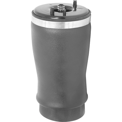 Air Spring by UNITY AUTOMOTIVE - 15525001 pa2