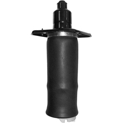 Air Spring by UNITY AUTOMOTIVE - 15529901 pa1