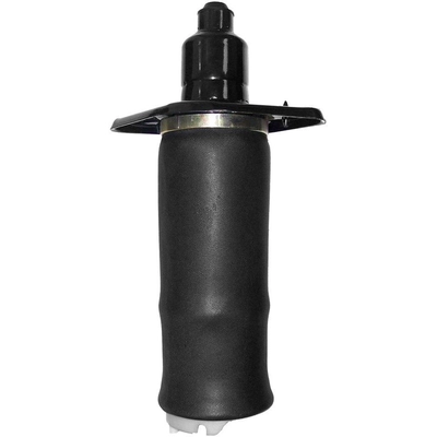 Air Spring by UNITY AUTOMOTIVE - 15529902 pa1