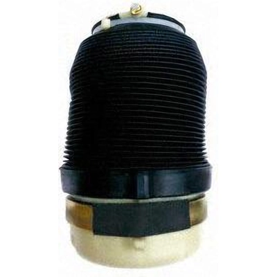 Air Spring by UNITY AUTOMOTIVE - 15534000 pa1