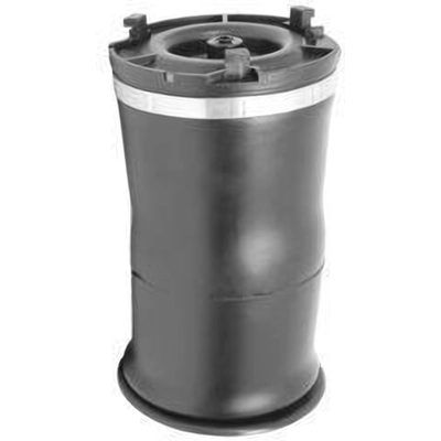 Air Spring by UNITY AUTOMOTIVE - 15599000 pa2