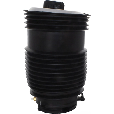 Air Spring by WESTAR INDUSTRIES - AS17102 pa1