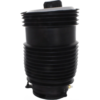 Air Spring by WESTAR INDUSTRIES - AS17103 pa1