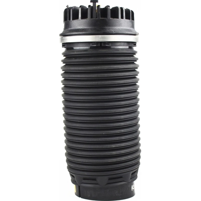 Air Spring by WESTAR INDUSTRIES - AS7063 pa1