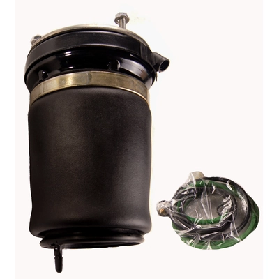 Air Spring by WESTAR INDUSTRIES - AS7028 pa1