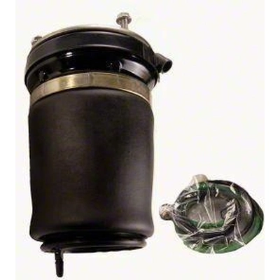Air Spring by WESTAR INDUSTRIES - AS7028 pa2