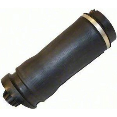 Air Spring by WESTAR INDUSTRIES - AS7061 pa2