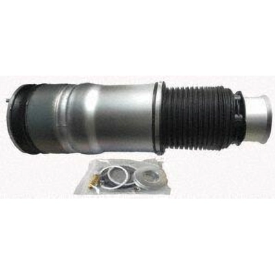 Air Spring by WESTAR INDUSTRIES - AS7095 pa2