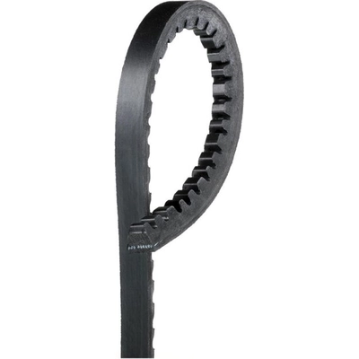 ACDELCO - 15355 - Alternator And Fan Belt pa1