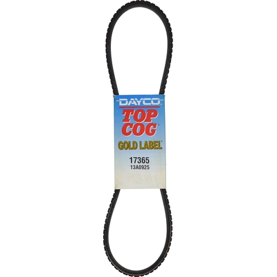 Alternator And Fan Belt by DAYCO - 17365 pa11