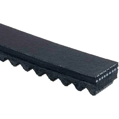 Alternator And Fan Belt by GATES - TR22410 pa5