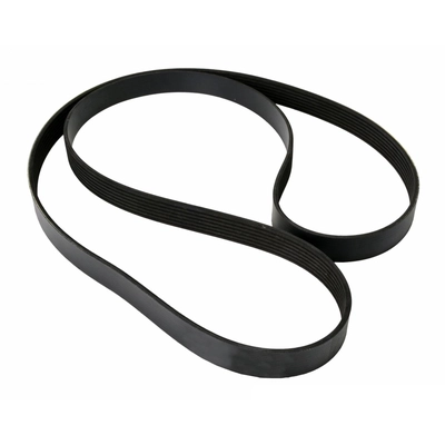 CONTINENTAL - 7PK1666 - Accessory Drive Belt pa2