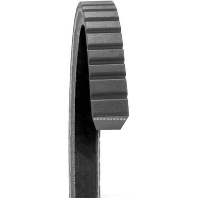 Alternator And Water Pump Belt by DAYCO - 17440 pa1