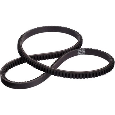 Alternator And Water Pump Belt by DAYCO - 17550 pa1