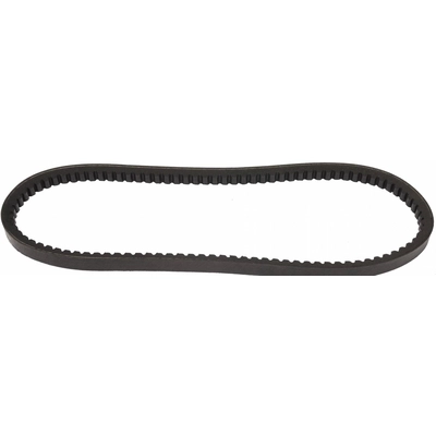 CONTINENTAL - 22470 - V-Belt pa1