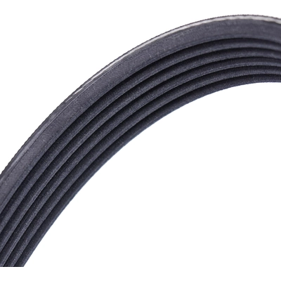 CONTINENTAL - 6PK1538 - Drive Belt pa3