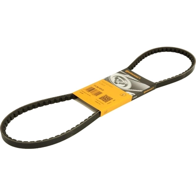 Alternator Belt by CRP/CONTITECH - 11-9X1013 pa3