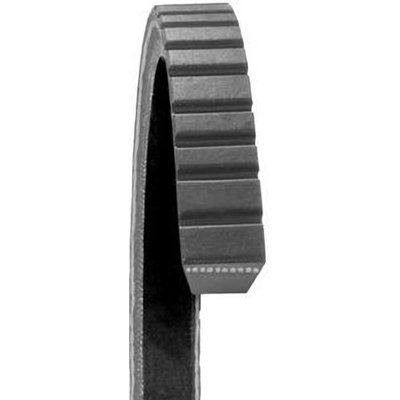 Alternator Belt by DAYCO - 17340 pa14