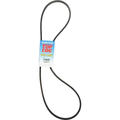 Alternator Belt by DAYCO - 17620 pa24