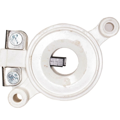 Alternator Brushes by BLUE STREAK (HYGRADE MOTOR) - D120 pa5