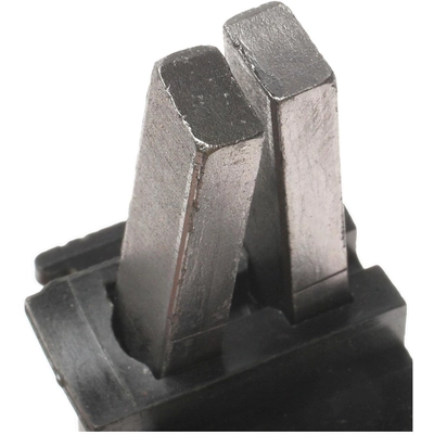 BLUE STREAK (HYGRADE MOTOR) - JX131 - Intermotor Alternator Brush Set pa1