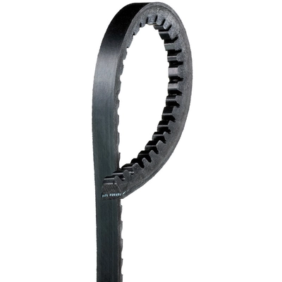 CONTINENTAL - 15550 - Standard High Capacity V-Belt pa2