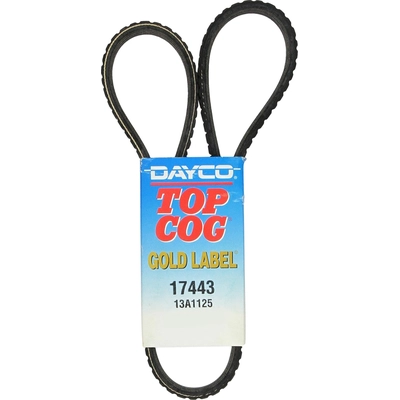 Alternator, Fan And Water Pump Belt by DAYCO - 17443 pa8