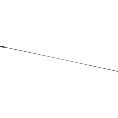 AUTOTECNICA - GM1317901 - Antenna Mast pa4