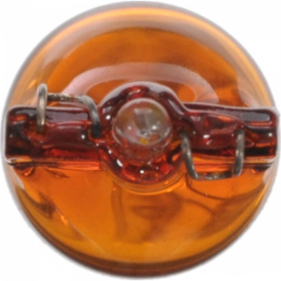 Auto Transmission Indicator (Pack of 10) by WAGNER - 194NA pa10