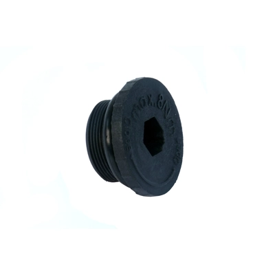 Automatic Transmission Fill Or Drain Plug by URO - 24117520713 pa2
