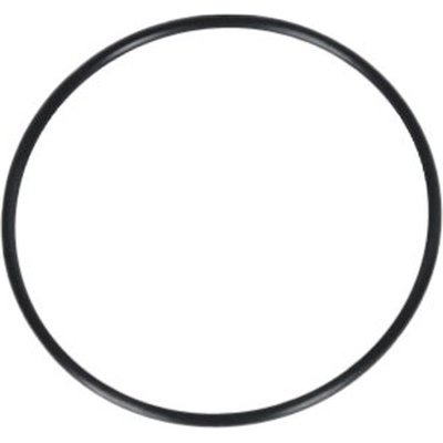 Axle Hub O-Ring by ACDELCO - 290-303 pa1