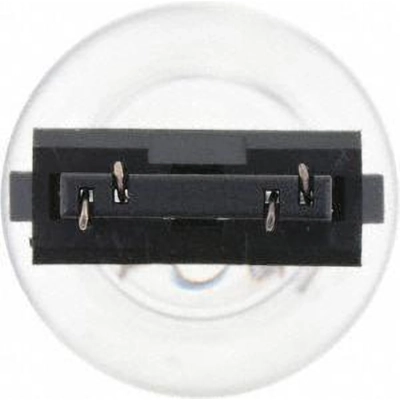 Backup Light by PHILIPS - 4057LLB2 pa16