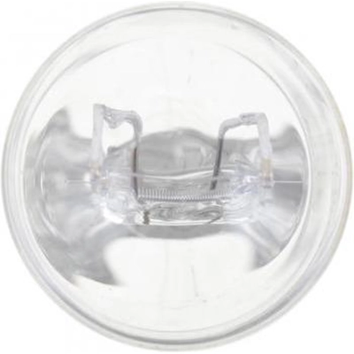 Backup Light by PHILIPS - 7443CP pa34