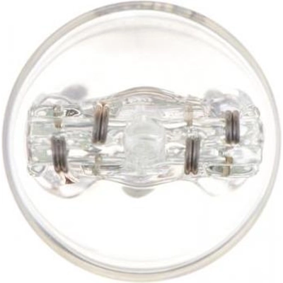 Backup Light by PHILIPS - 7443LLB2 pa49