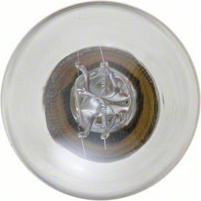 Backup Light by PHILIPS - P21/5WB2 pa32