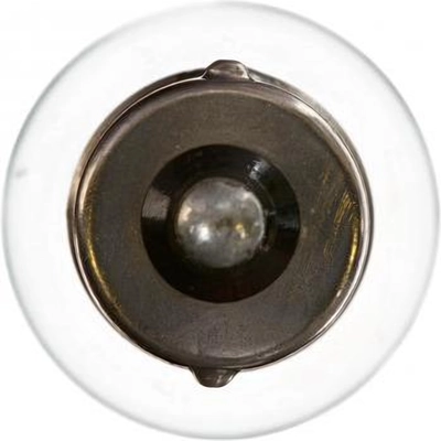 Backup Light by PHILIPS - P21WCP24V pa13